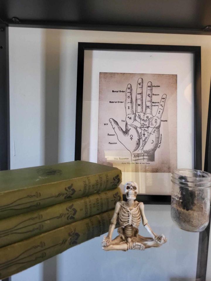 Formation orthothérapie Salaberry-de-Valleyfield